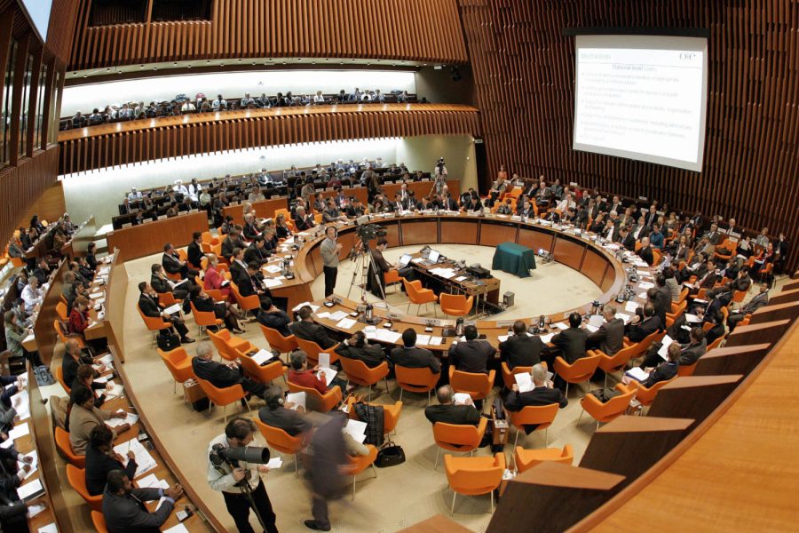 Geneva, SWITZERLAND:  A general view of the World Health Organisation (WHO) Executive board room, on the second day of a three-day global bird flu conference, at the WHO headquarters, in Geneva 08 November 2005. Experts in human and veterinary health met here Tuesday to plan action for containing the spread of bird flu as the perilous poultry disease claimed a further life in Vietnam and inflicted a suspected sixth fatality in Indonesia. AFP PHOTO FABRICE COFFRINI  (Photo credit should read FABRICE COFFRINI/AFP/Getty Images)