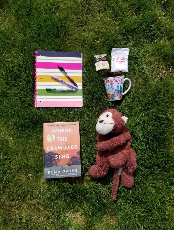 This picture shows a colorfully stripped notebook in the top left corner. To the right of it there is a mug that reads New York City that has a cherry red inside. Just slightly above it there is a vanilla chai tea bag and a hot cocca powder mix. Below the mug is a old looking stuffed monkey. Lastly in the bottom left corner there is a book called Where the Crawdads Sing. These items are all on green grass.