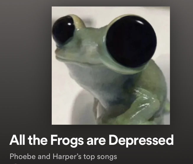 Picture of a playlist with a photo of a frog with very large eyes titled All the Frogs are Depressed