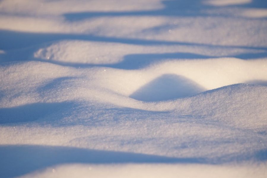 Snow+Dunes
