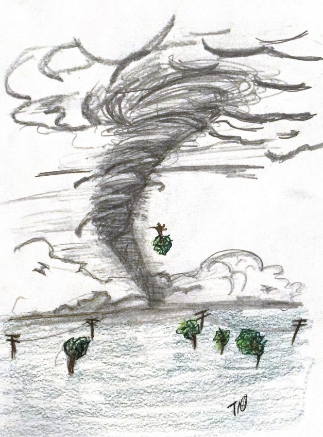 A drawing of a tornado in a field with trees.