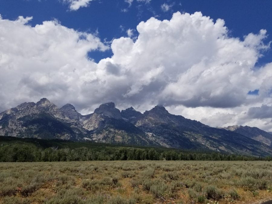This image shows the Grand Teton Mountain range with large white clouds perched above in the sunshine. The sky is vibrant blue and the foreground is sage brush.