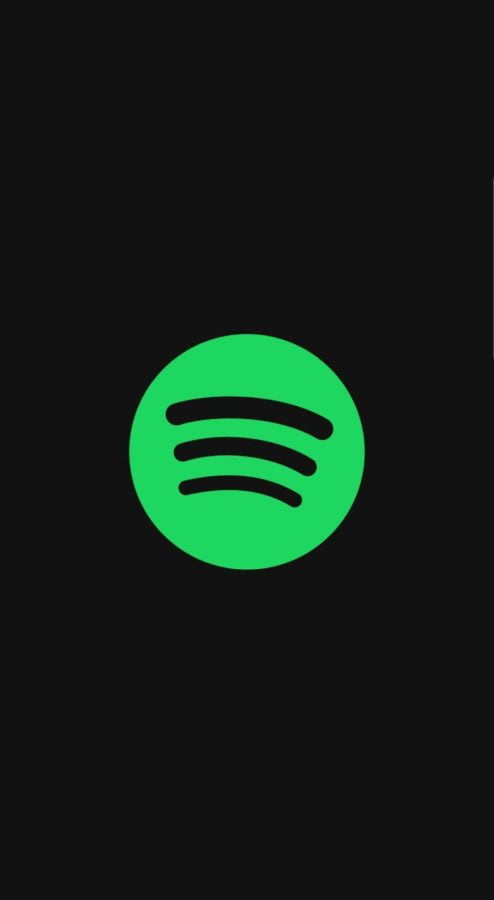 This is an all black image, except for the green Spotify logo in the center.