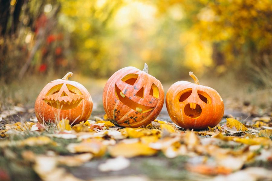 Three carved pumpkins on a street surrounded by leaves 
