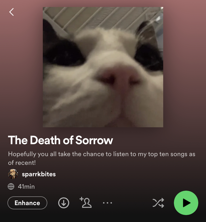 A picture of a spotify playlist, with a closeup of a cat as the playlist cover.