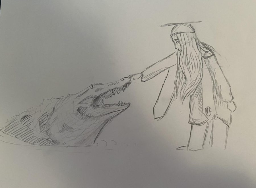 Alligator eating grad