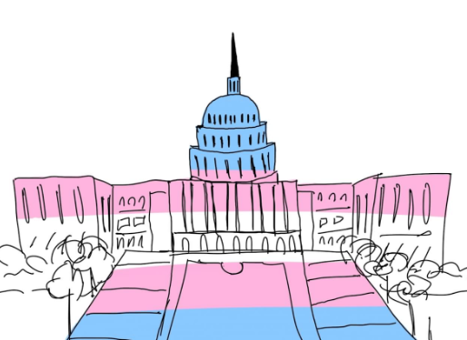 The capital building coated in trans flag colors.