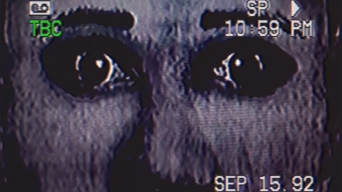 A VHS-style image of a close-up of a man staring into the camera. The image is from the Mandela Catalogue.