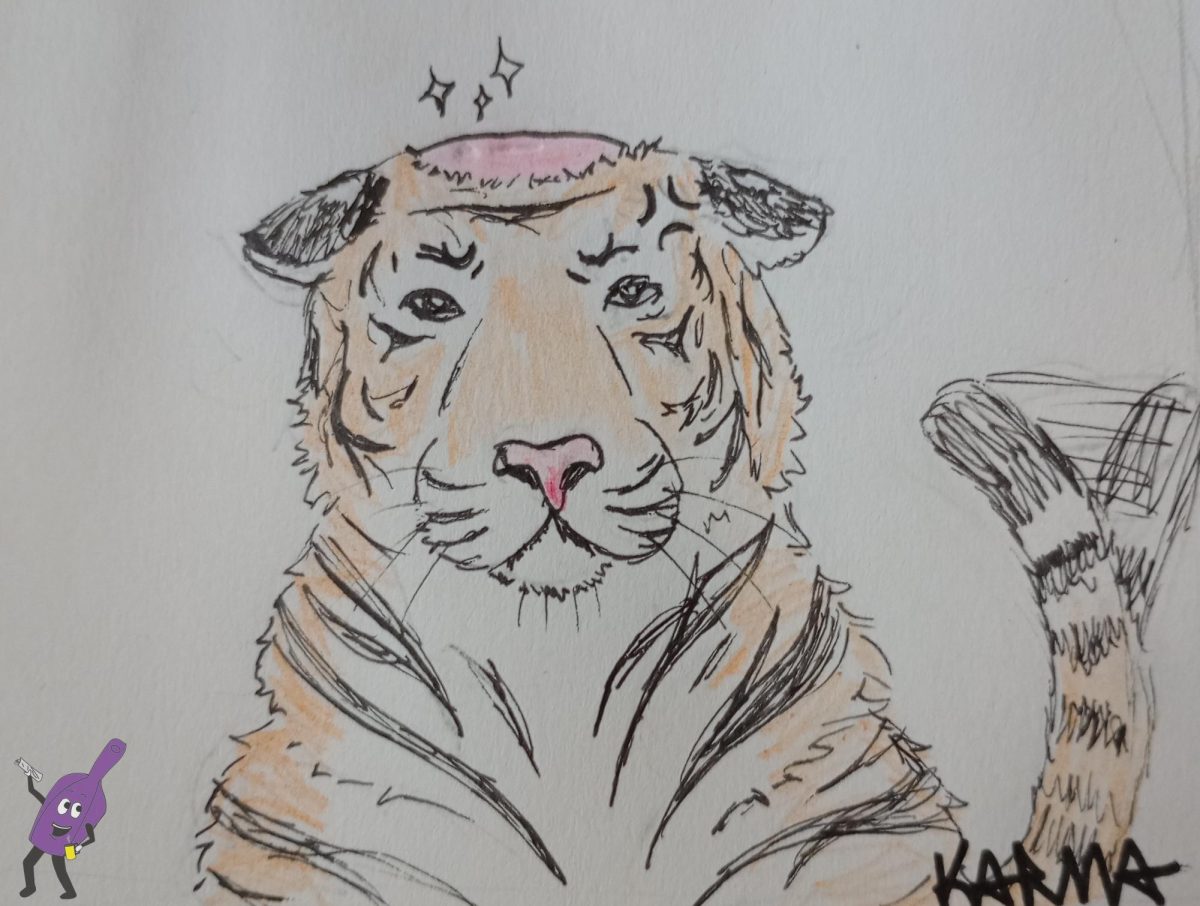 Drawing+of+Quinn+as+a+tiger+with+a+bald+spot
