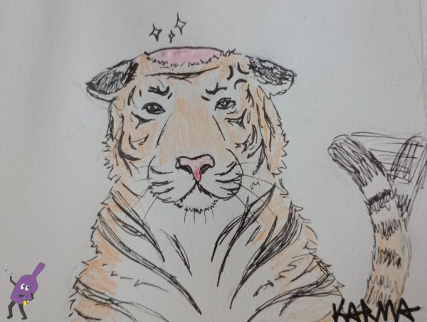 Drawing of Quinn as a tiger with a bald spot