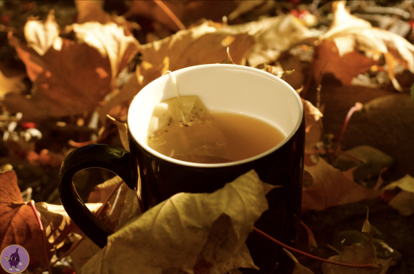 Cup of tea in fall leaves