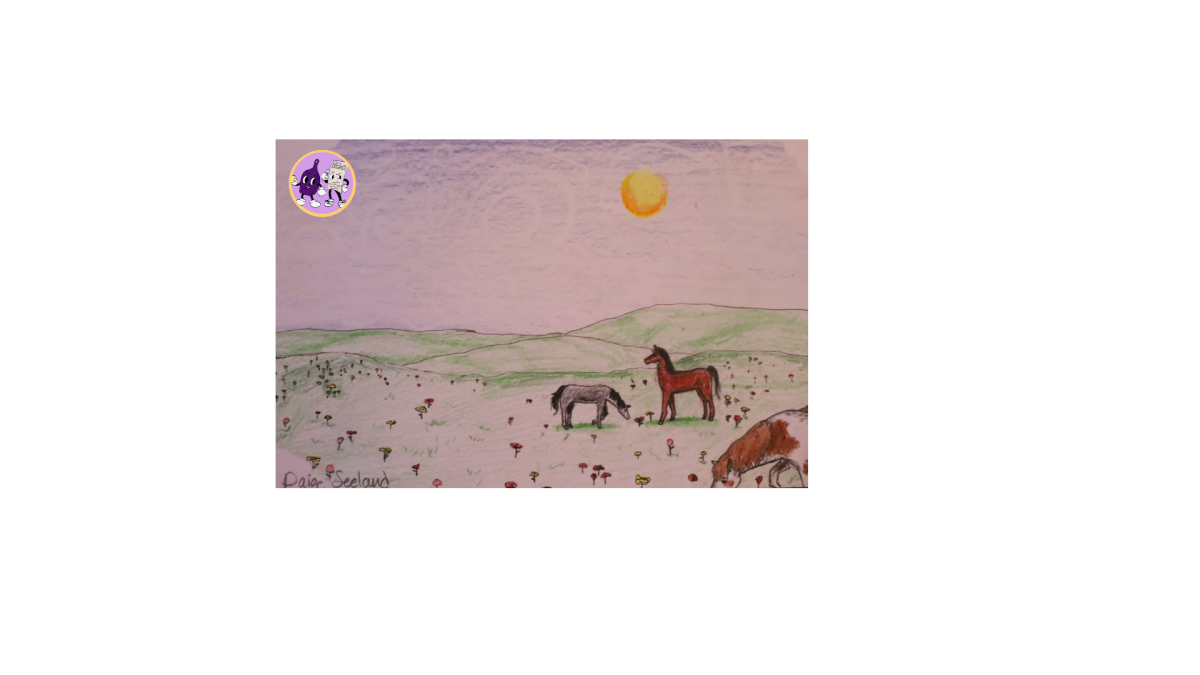 There is a herd of wild horses on Upper Miller & Lower Miller Creek. They roam around, and even hang out in people's yards! 