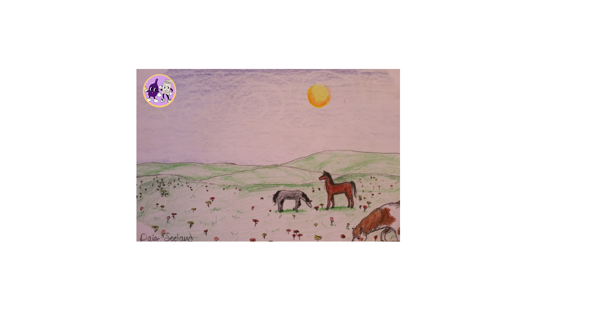 There is a herd of wild horses on Upper Miller & Lower Miller Creek. They roam around, and even hang out in people's yards! 