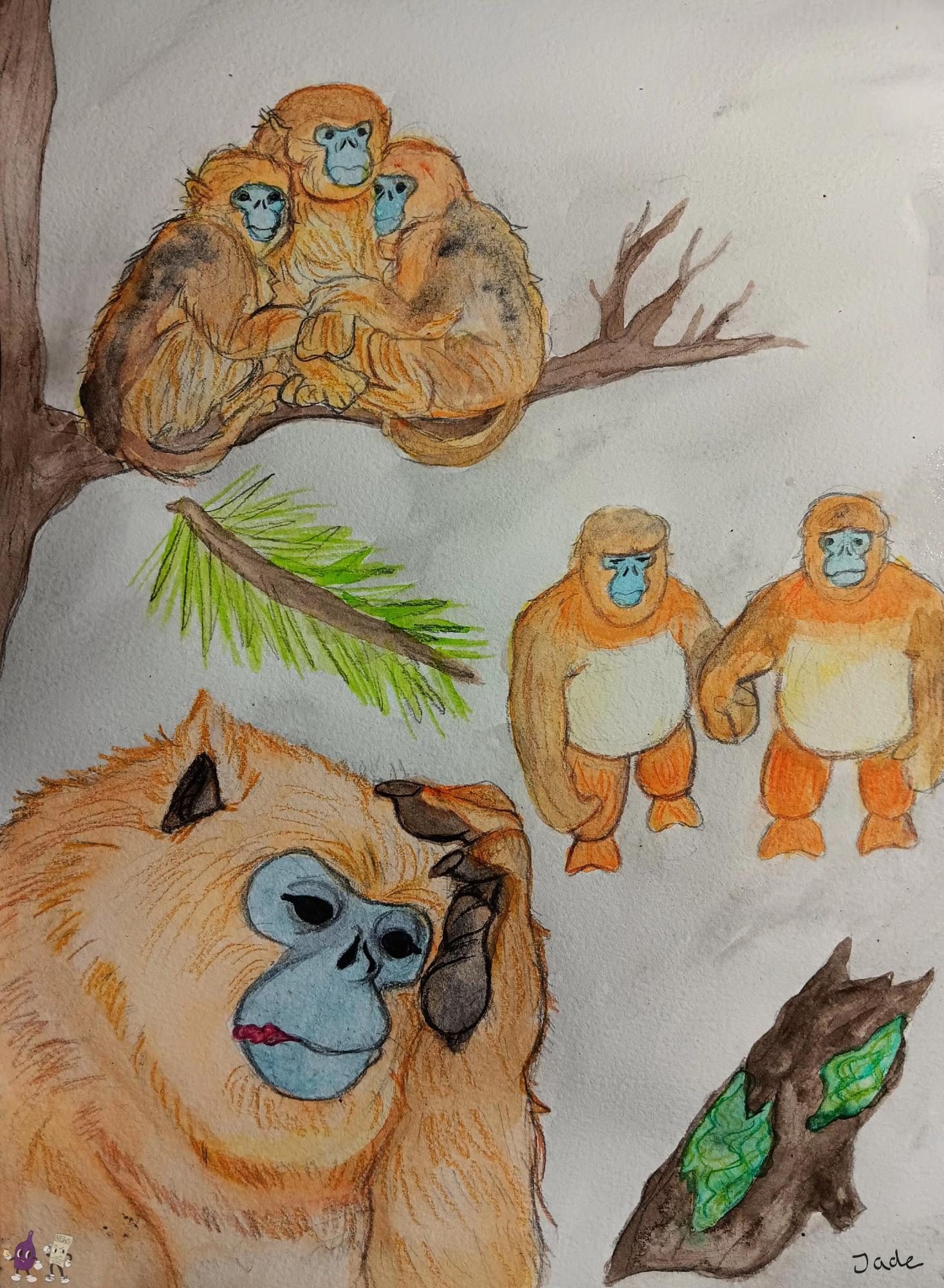 Primates of The Peaks: Tales of The Golden Snub-Nosed Monkey