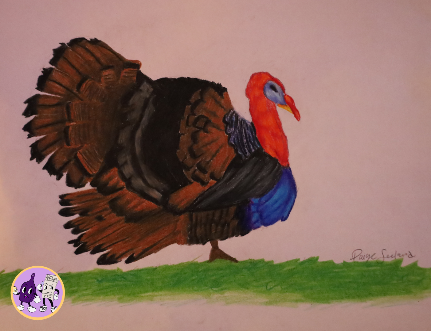 It's almost Thanksgiving! That means turkeys everywhere. This drawing pin points all of the cool details of turkeys! Ranging from blue, to black, brown and red.