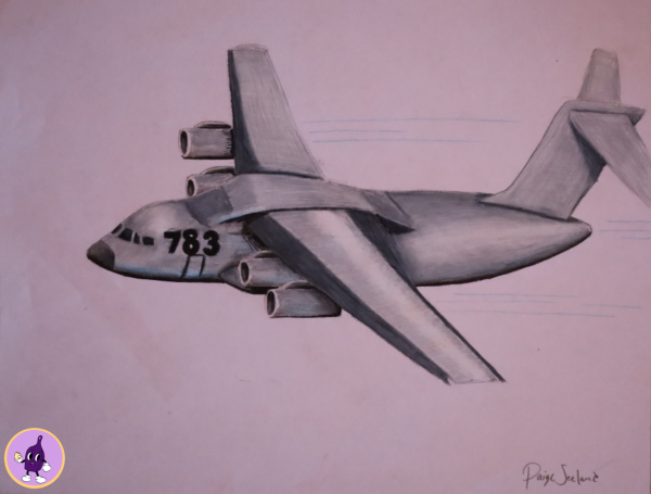 Plane bringin cargo into Missoula for local stores.