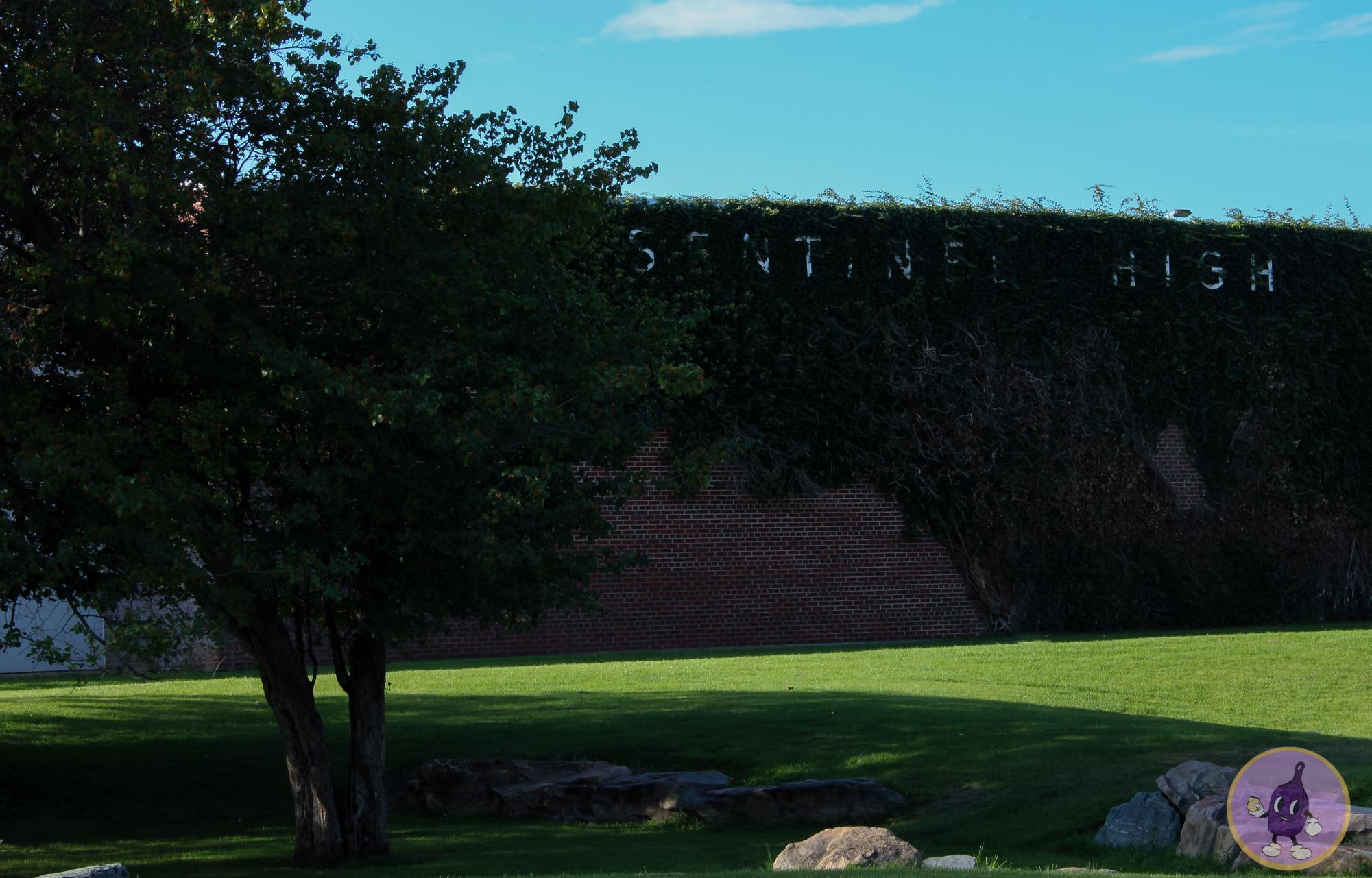 SENTINEL’S TRANSFORMATIONAL LEARNING PROJECT