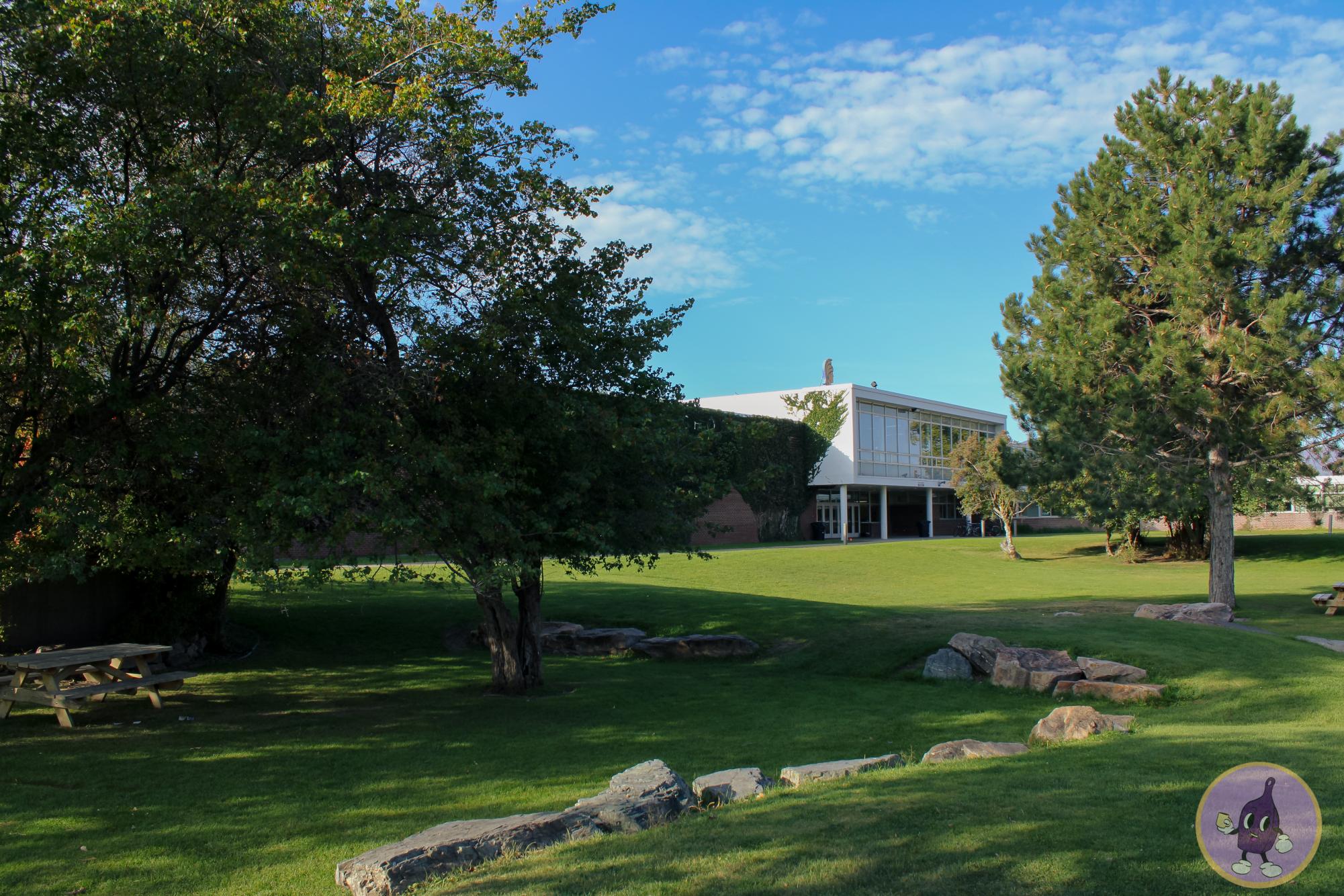 SENTINEL’S TRANSFORMATIONAL LEARNING PROJECT