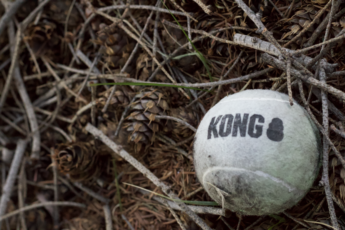 A ball rotting into obscurity, it's future unfolding into an unknown legacy