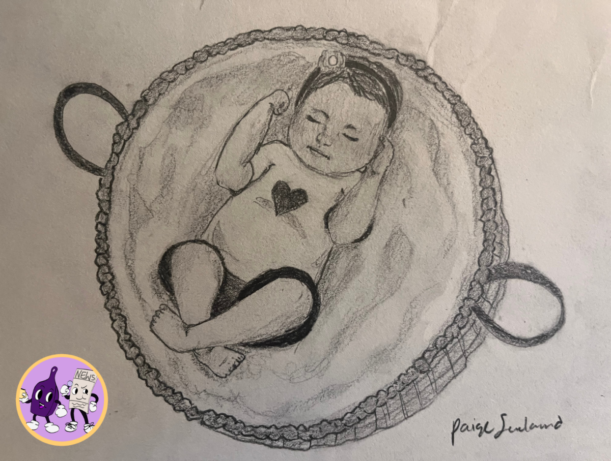 An infant in a woven basket cradled by blankets. 