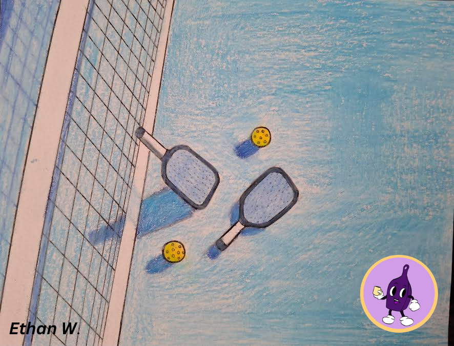 Pickleball court and equipment 