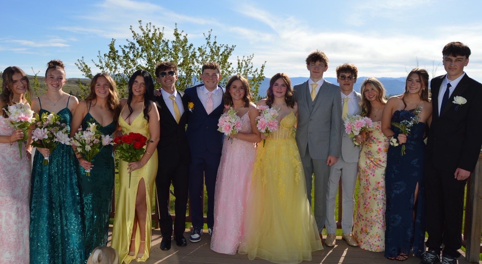 AN OVERVIEW OF PROM