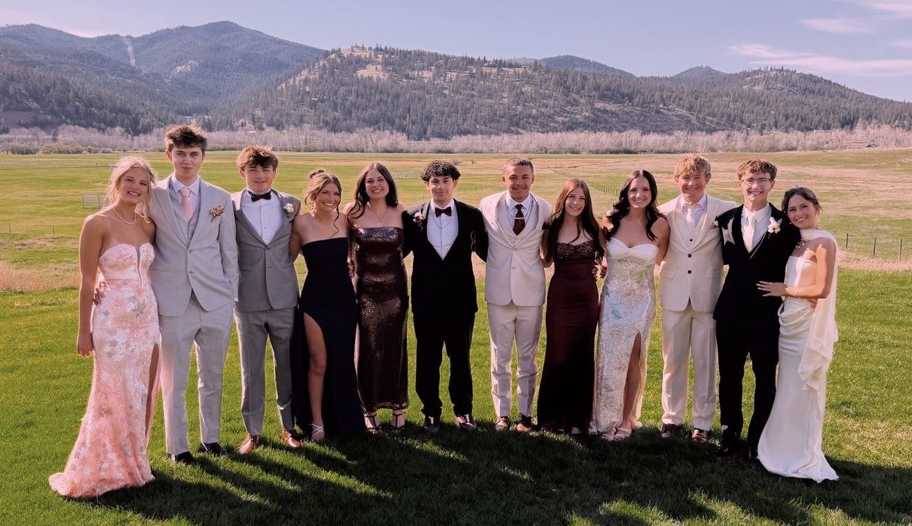 AN OVERVIEW OF PROM