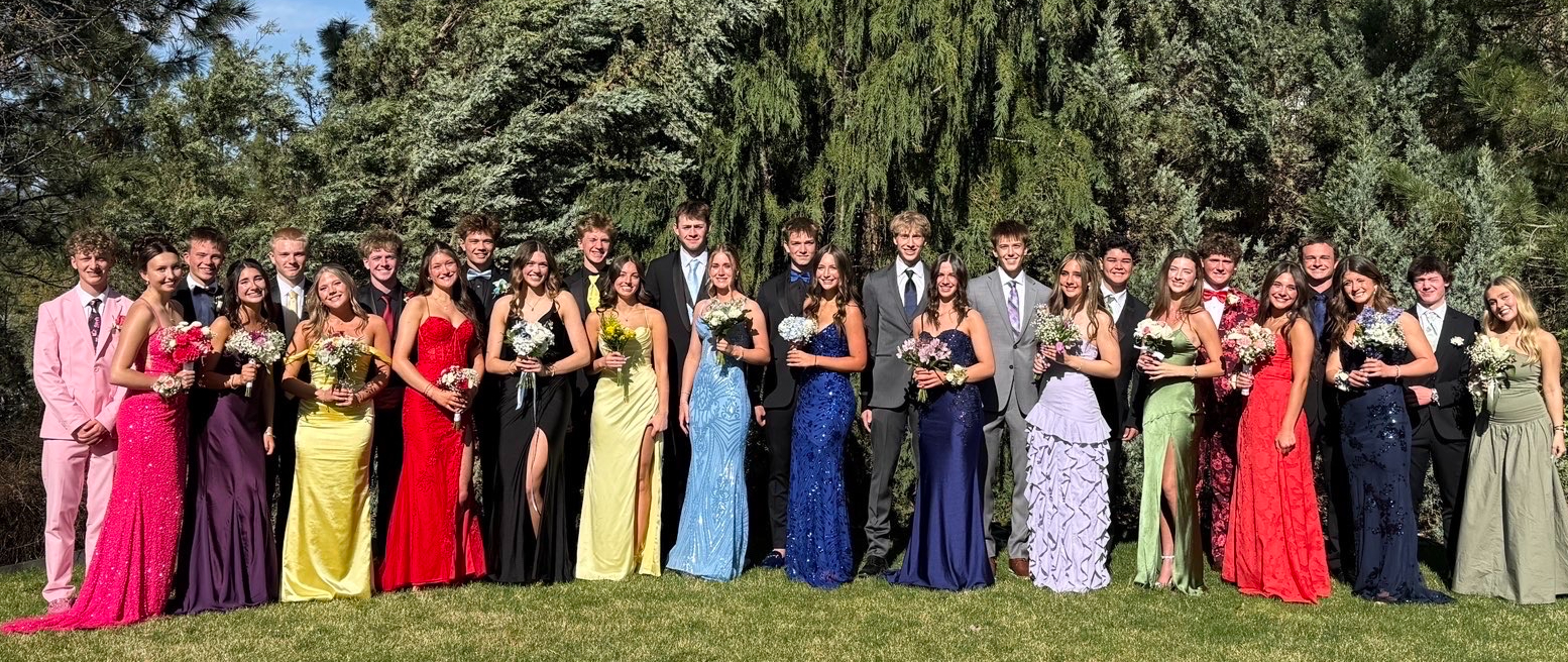 AN OVERVIEW OF PROM