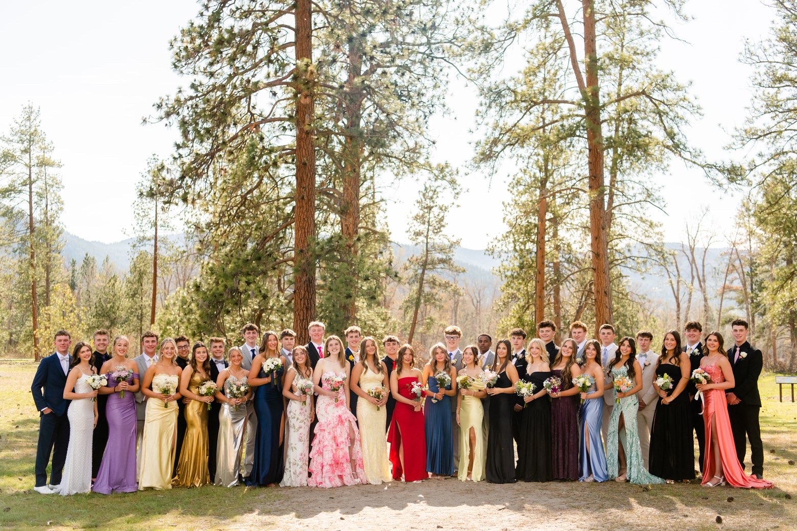 AN OVERVIEW OF PROM
