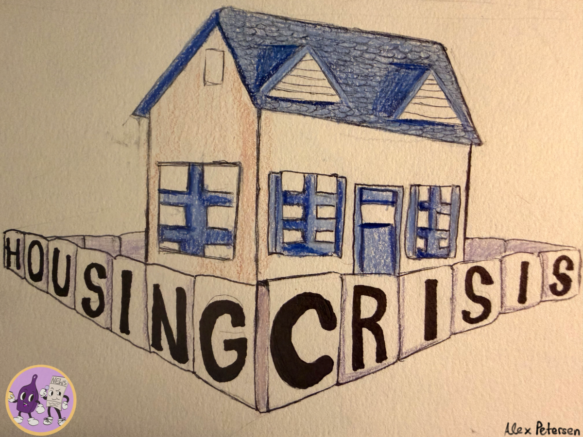 A house surrounded by various signs spelling out "housing crisis"