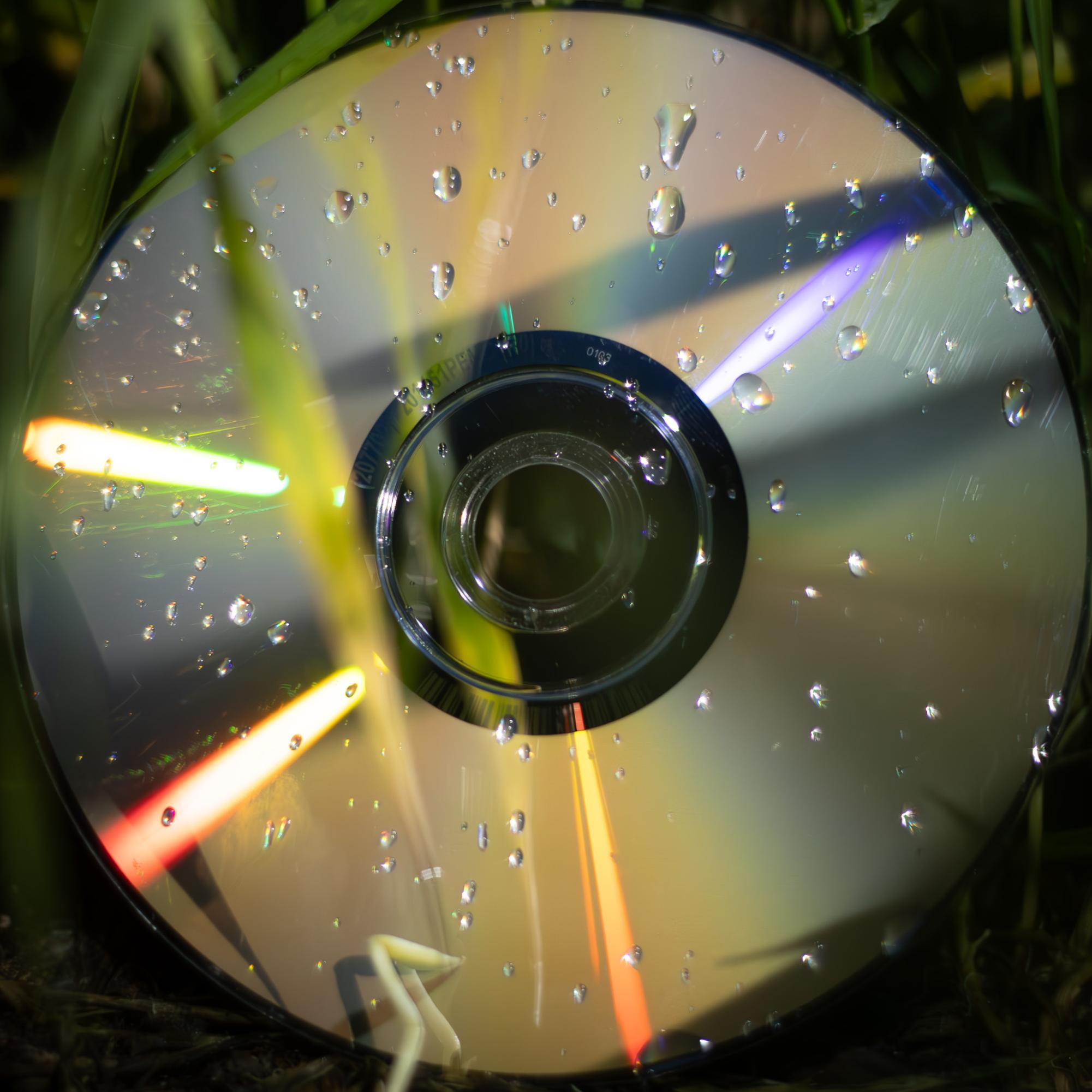 A colorful CD covered by grass