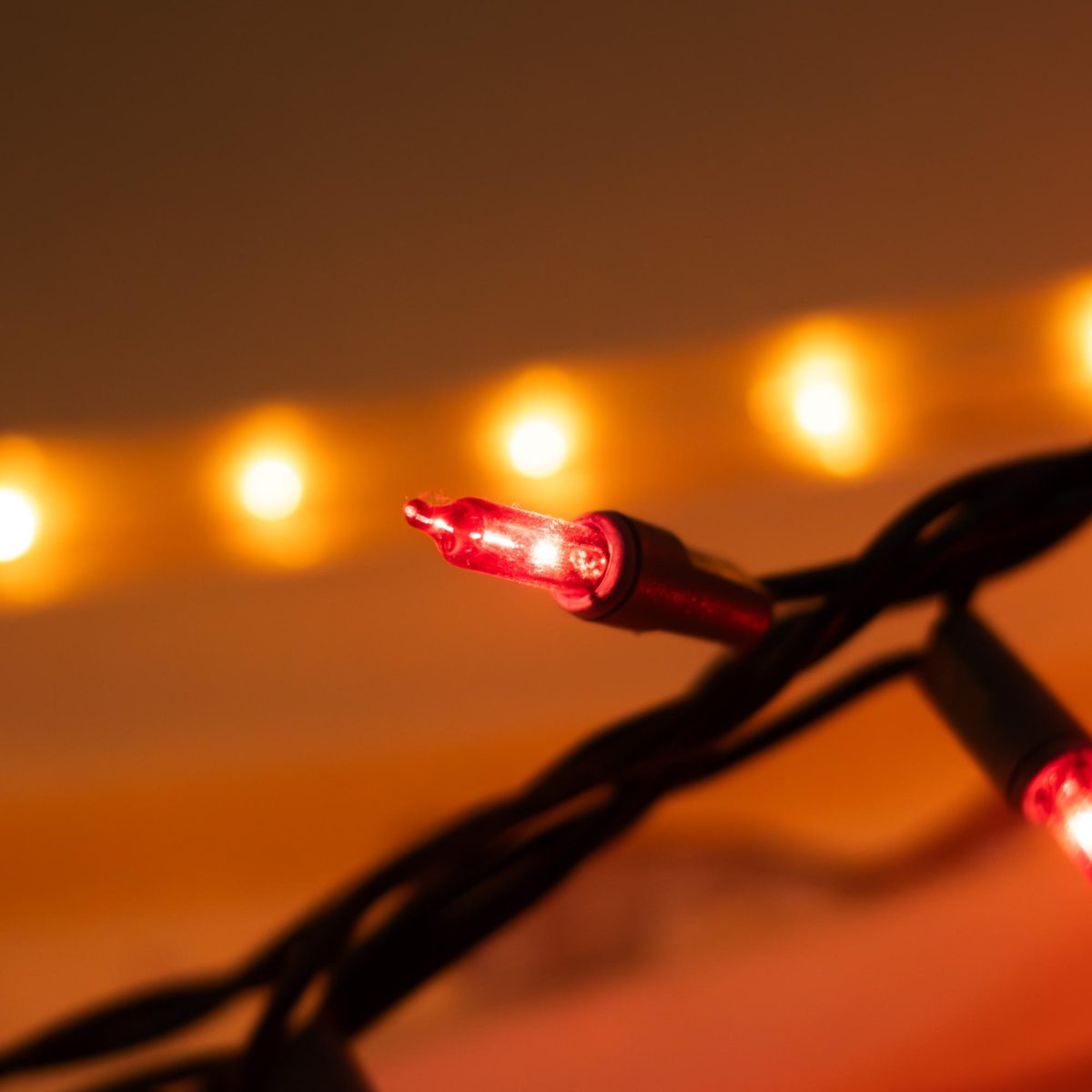 Hanging Christmas Lights
