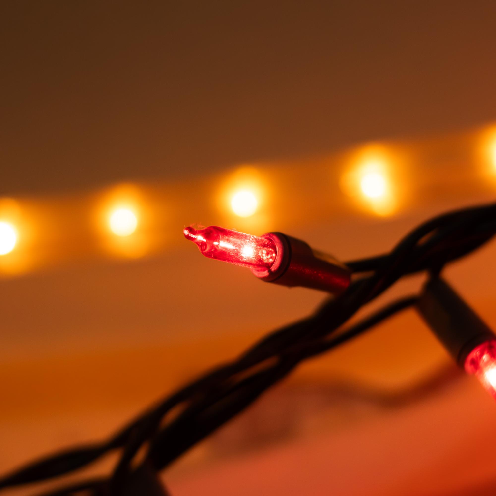 Hanging Christmas Lights