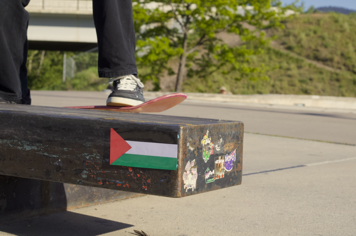 Skateboarding