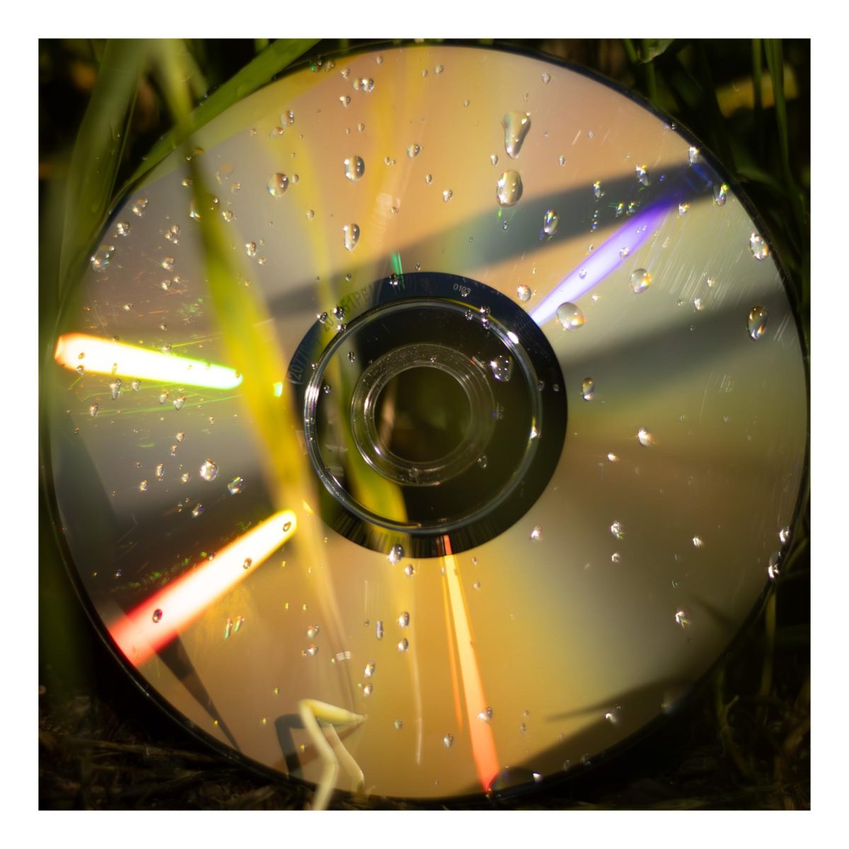 A colorful CD covered by grass.