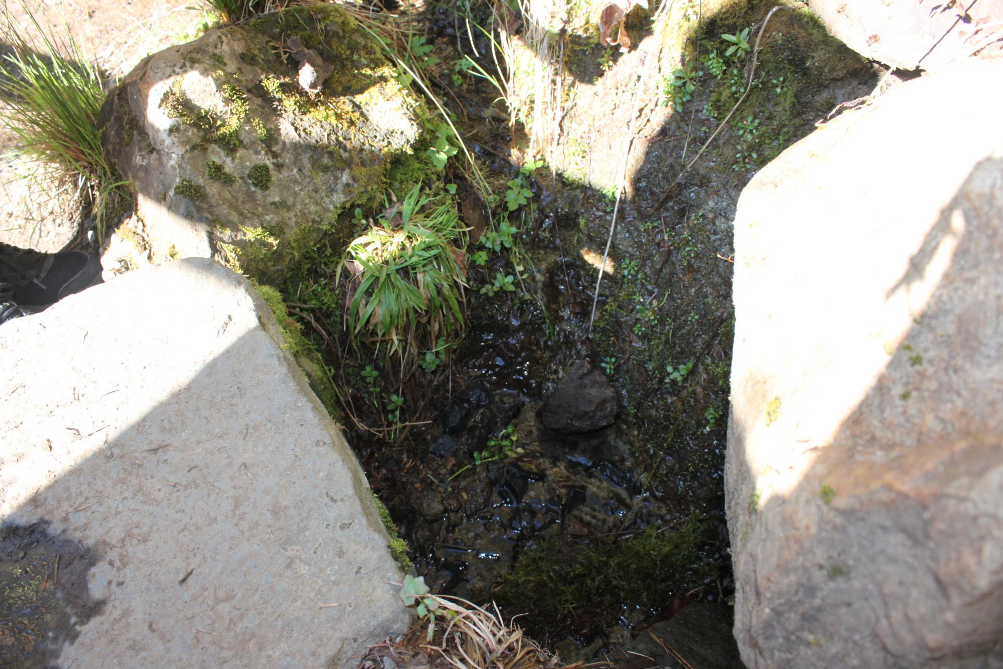 A photo of a little pond. 