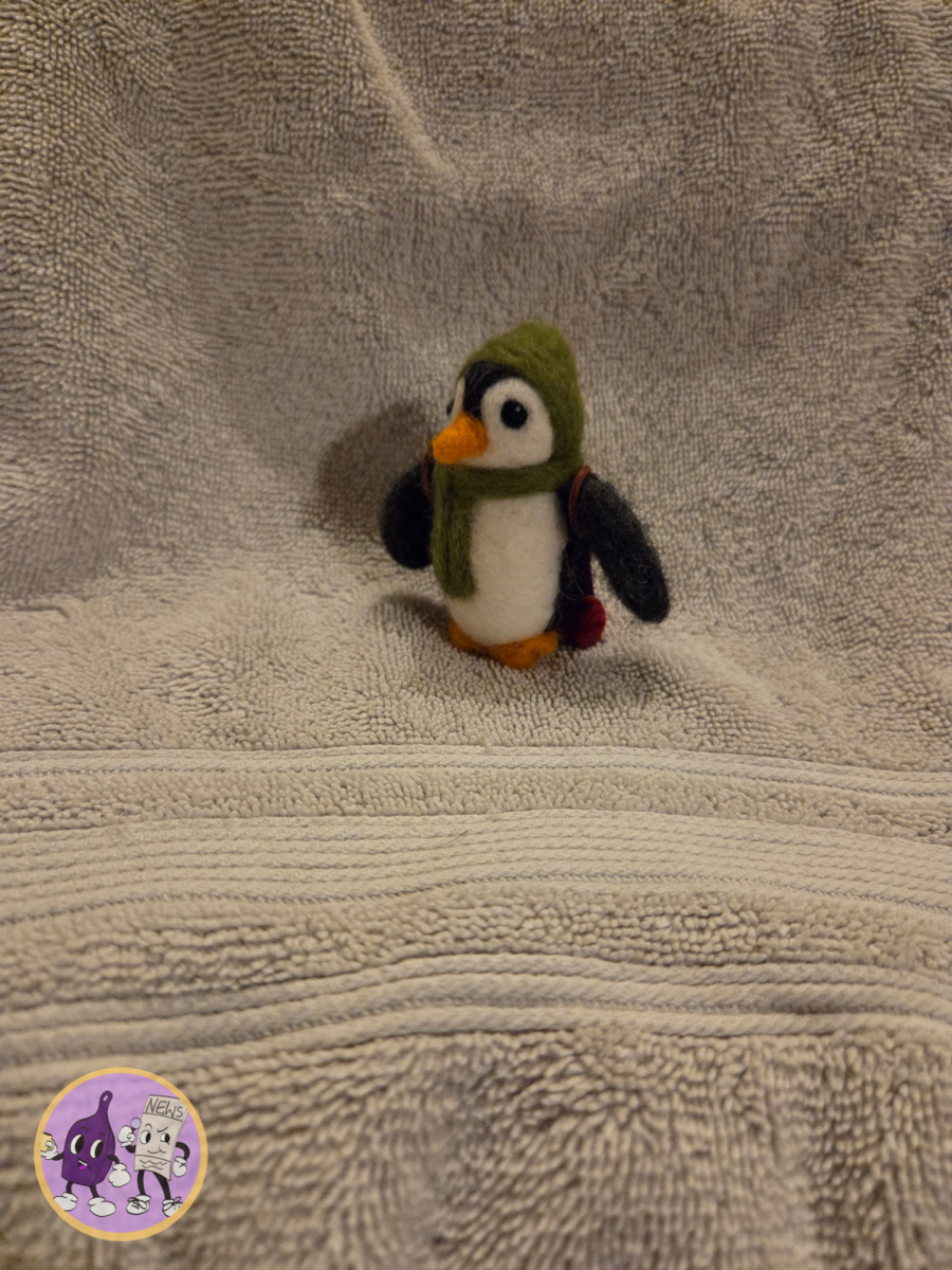 Miniature penguin in the snow 